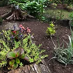 Letnisko Symsar 6, Drewniany Letniskowy Z Ogrodem Alojamento de Turismo Selvagem