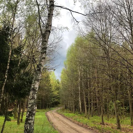 Letnisko Symsar 6, Drewniany Letniskowy Z Ogrodem Lodge *