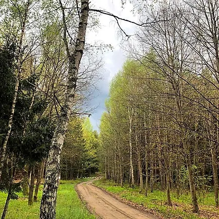 Letnisko Symsar 6, Drewniany Letniskowy Z Ogrodem Klebowo