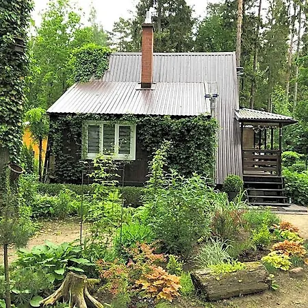 Letnisko Symsar 6, Drewniany Letniskowy Z Ogrodem * Klebowo